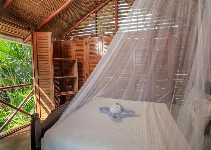 Hostel Surf Camp *