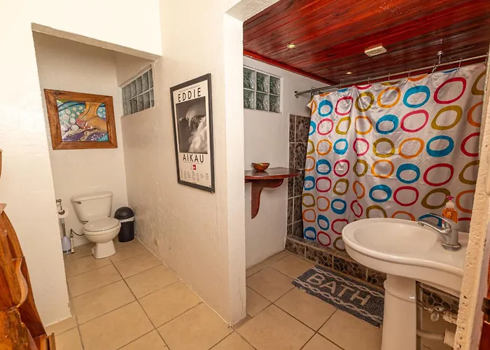 Surf Camp Hostel