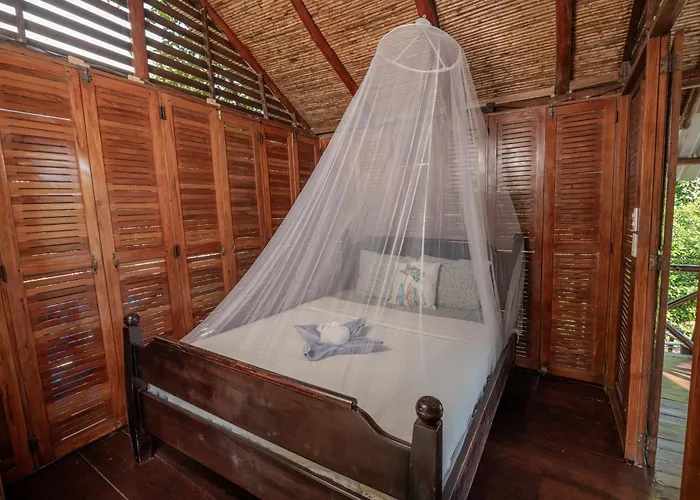 Hostel Surf Camp
