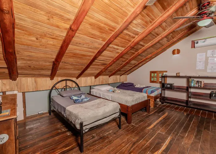 Surf Camp Hostel