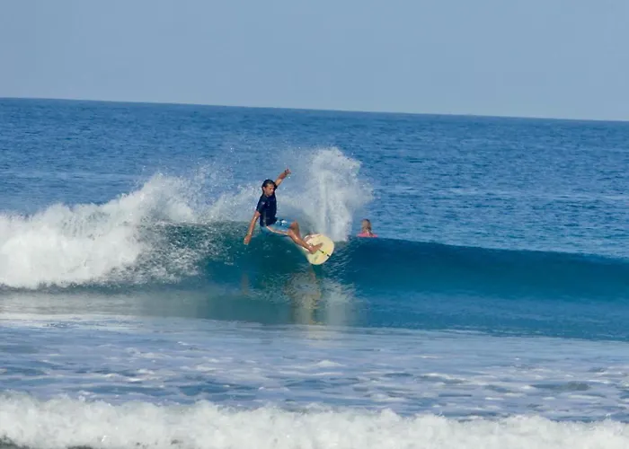 Surf Camp Hostel