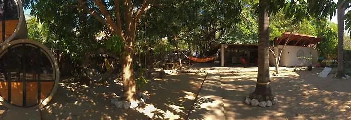 Hostel Surf Camp